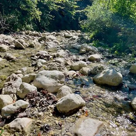 Apartment Barn *